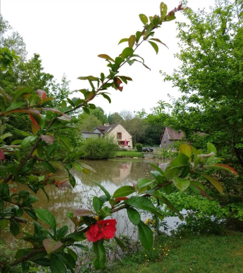 הוילה Coulans-sur-Gée 24H Le Mans - Les Haies Gite, Near Le Mans Circuit מראה חיצוני תמונה